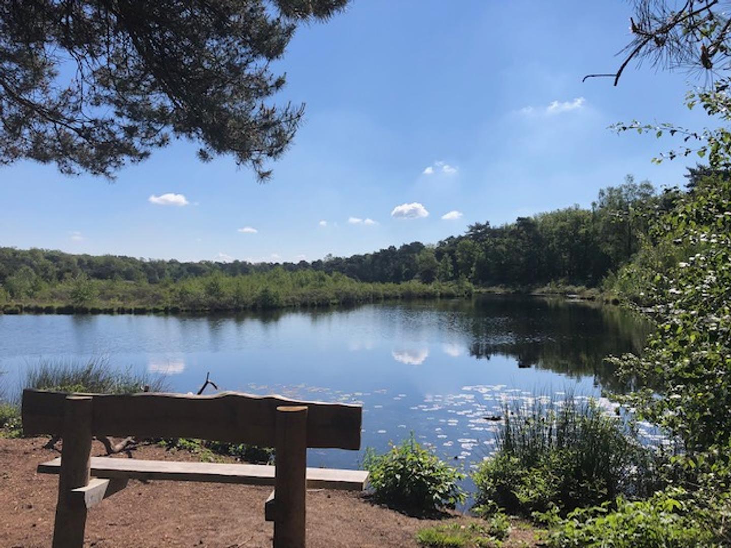 De Wandelpraktijk Natuurschoon 3