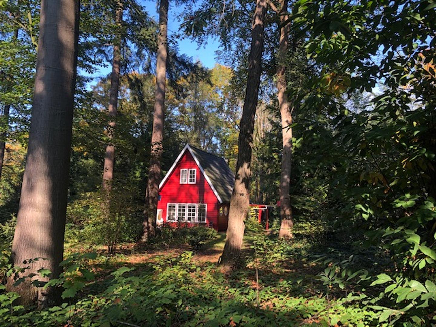 De Wandelpraktijk Natuurschoon 4