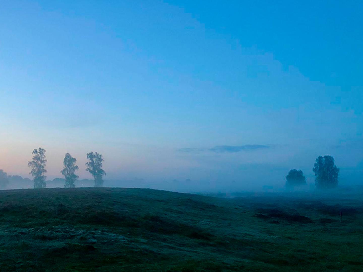 De Wandelpraktijk Natuurschoon 5